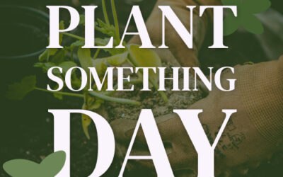 Plant Something Day