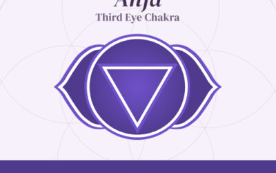 Chakra Series: Anja Chakra