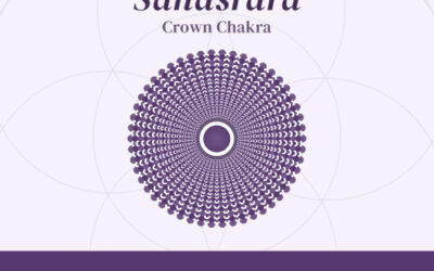 Chakra Series: Sahasrara Chakra